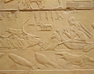 Bovini che attraversano un guado, dalla Mastaba di Kagemni
